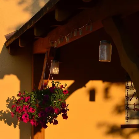 Hébergement de vacances Letniskowy Kaszuby *